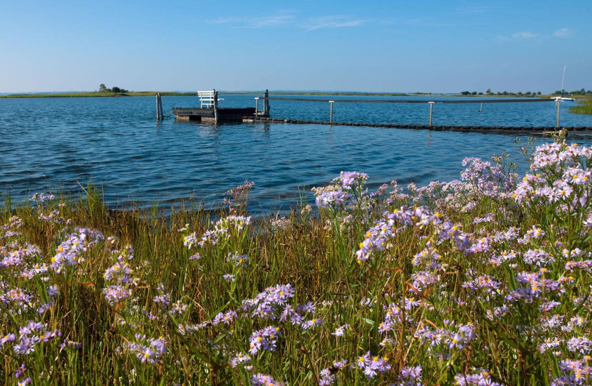 Seerose Insel Poel Buitenkant foto
